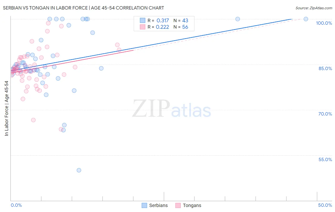 Serbian vs Tongan In Labor Force | Age 45-54