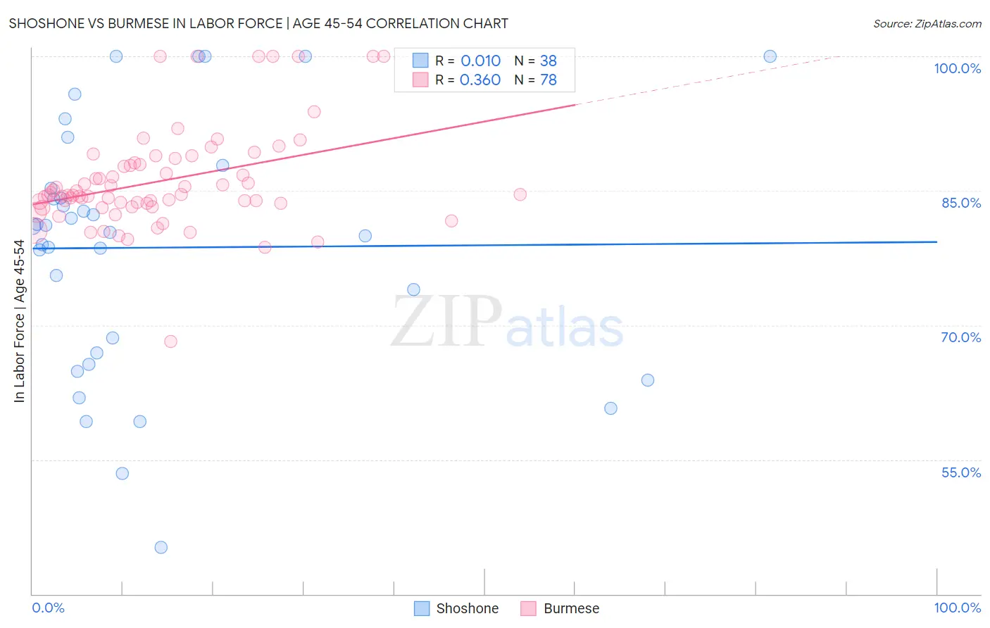 Shoshone vs Burmese In Labor Force | Age 45-54