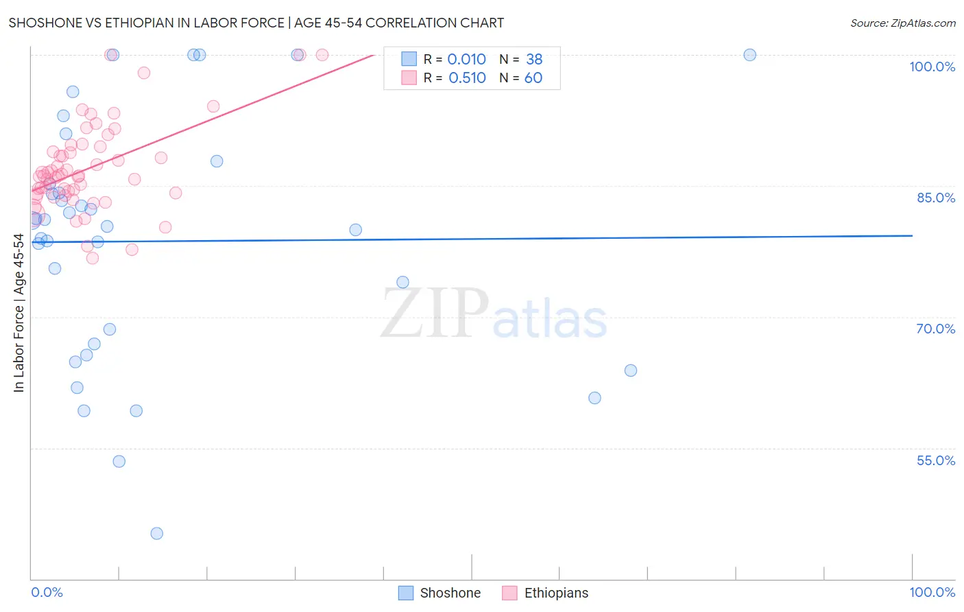 Shoshone vs Ethiopian In Labor Force | Age 45-54