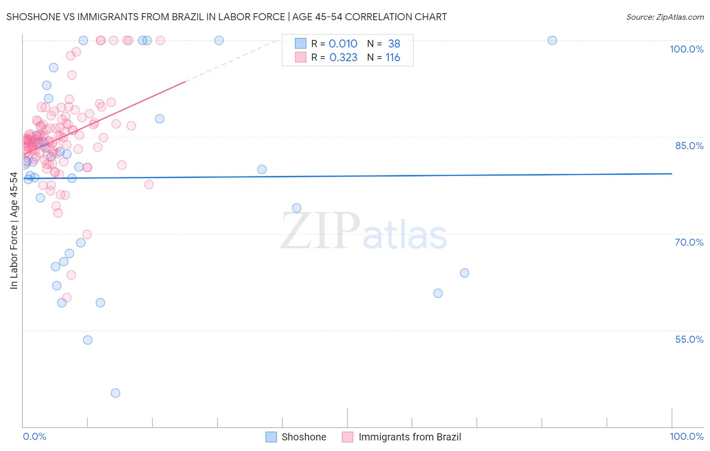 Shoshone vs Immigrants from Brazil In Labor Force | Age 45-54