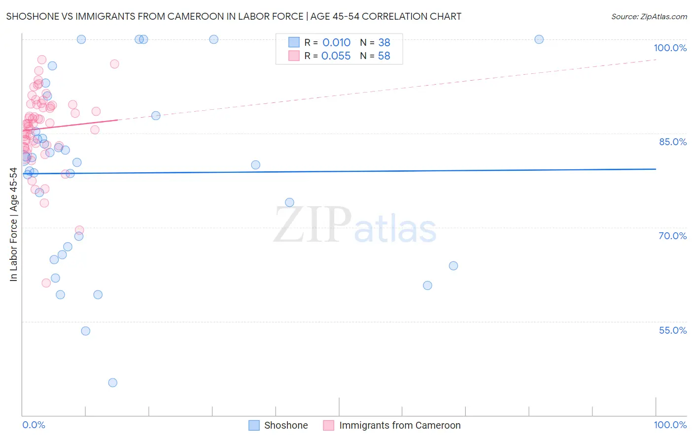 Shoshone vs Immigrants from Cameroon In Labor Force | Age 45-54