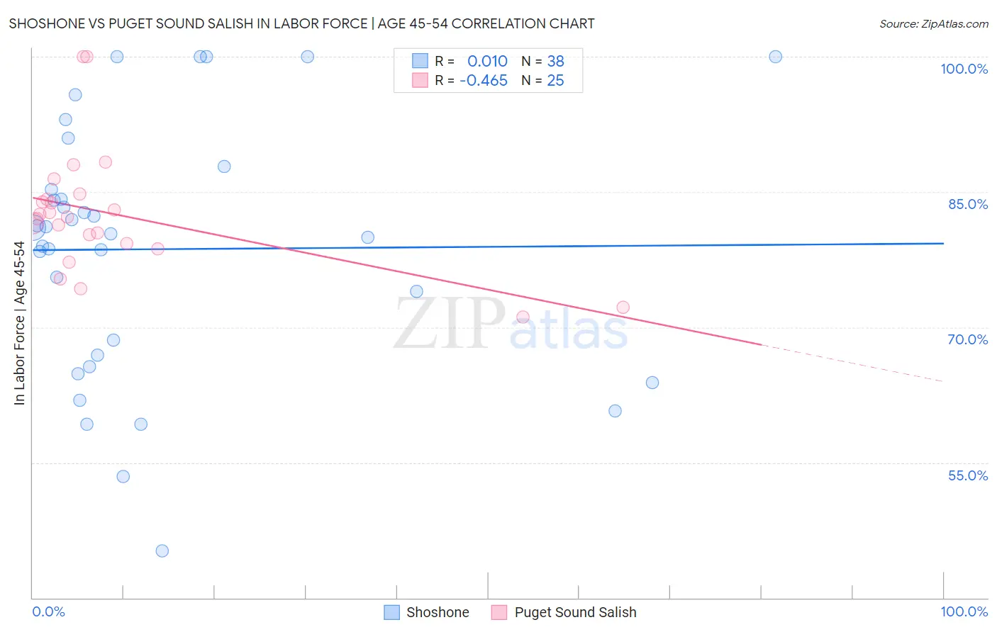 Shoshone vs Puget Sound Salish In Labor Force | Age 45-54