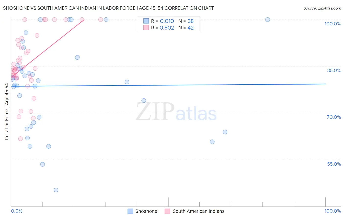 Shoshone vs South American Indian In Labor Force | Age 45-54