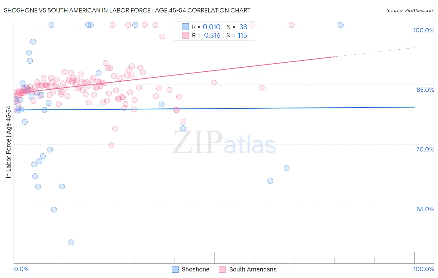 Shoshone vs South American In Labor Force | Age 45-54