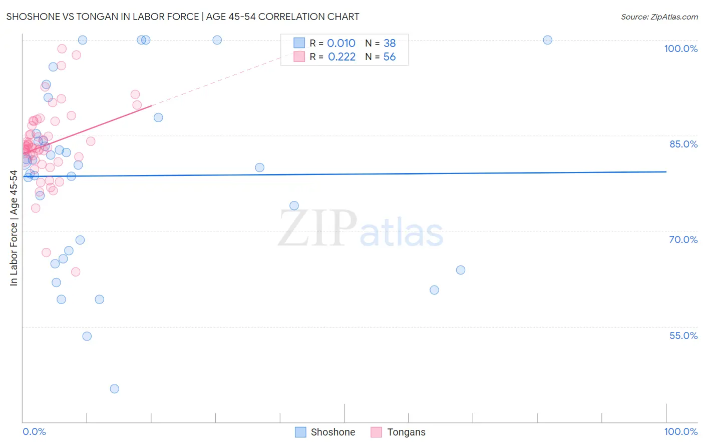 Shoshone vs Tongan In Labor Force | Age 45-54