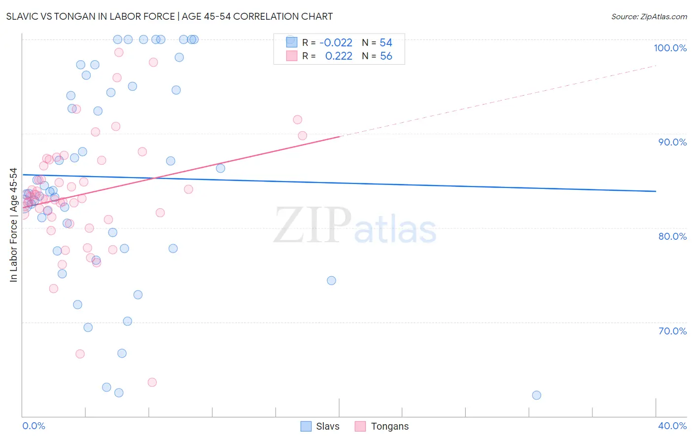 Slavic vs Tongan In Labor Force | Age 45-54