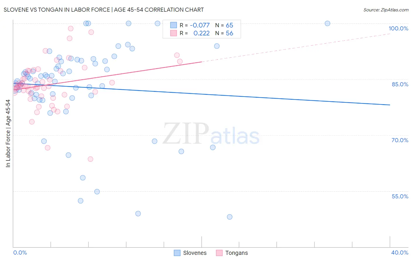 Slovene vs Tongan In Labor Force | Age 45-54