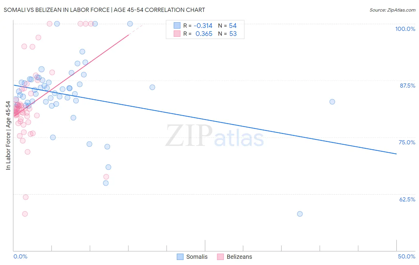 Somali vs Belizean In Labor Force | Age 45-54