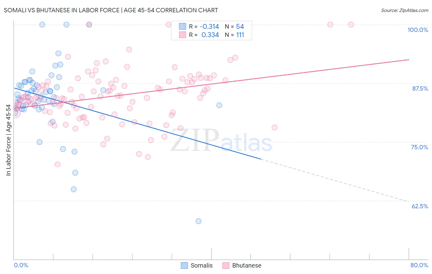 Somali vs Bhutanese In Labor Force | Age 45-54