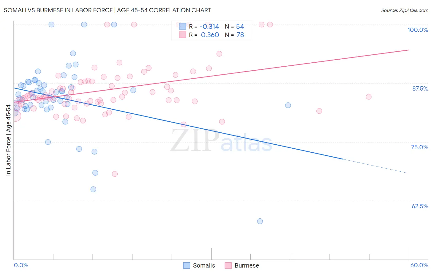Somali vs Burmese In Labor Force | Age 45-54