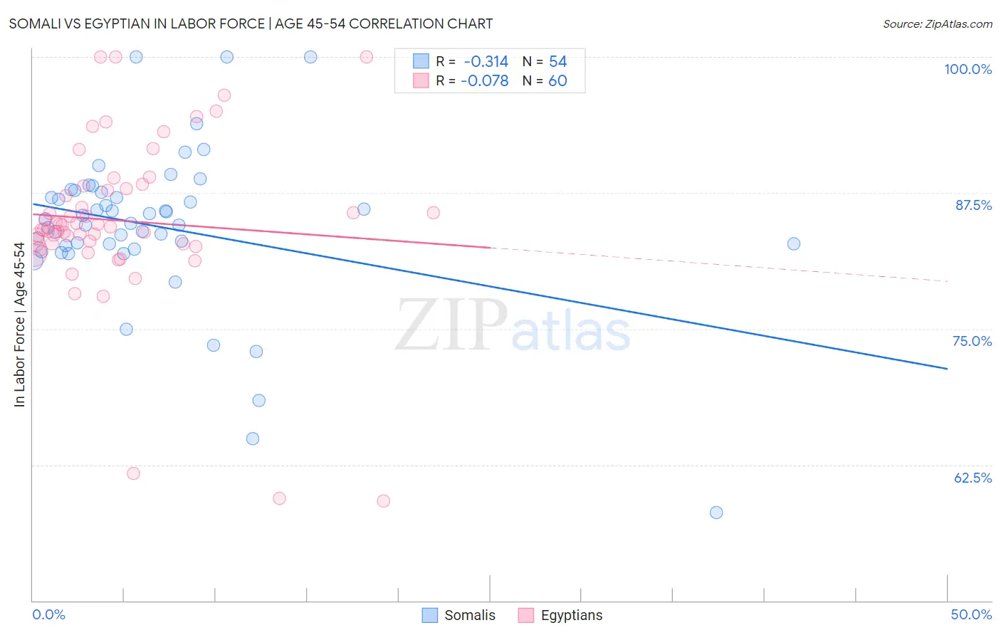 Somali vs Egyptian In Labor Force | Age 45-54