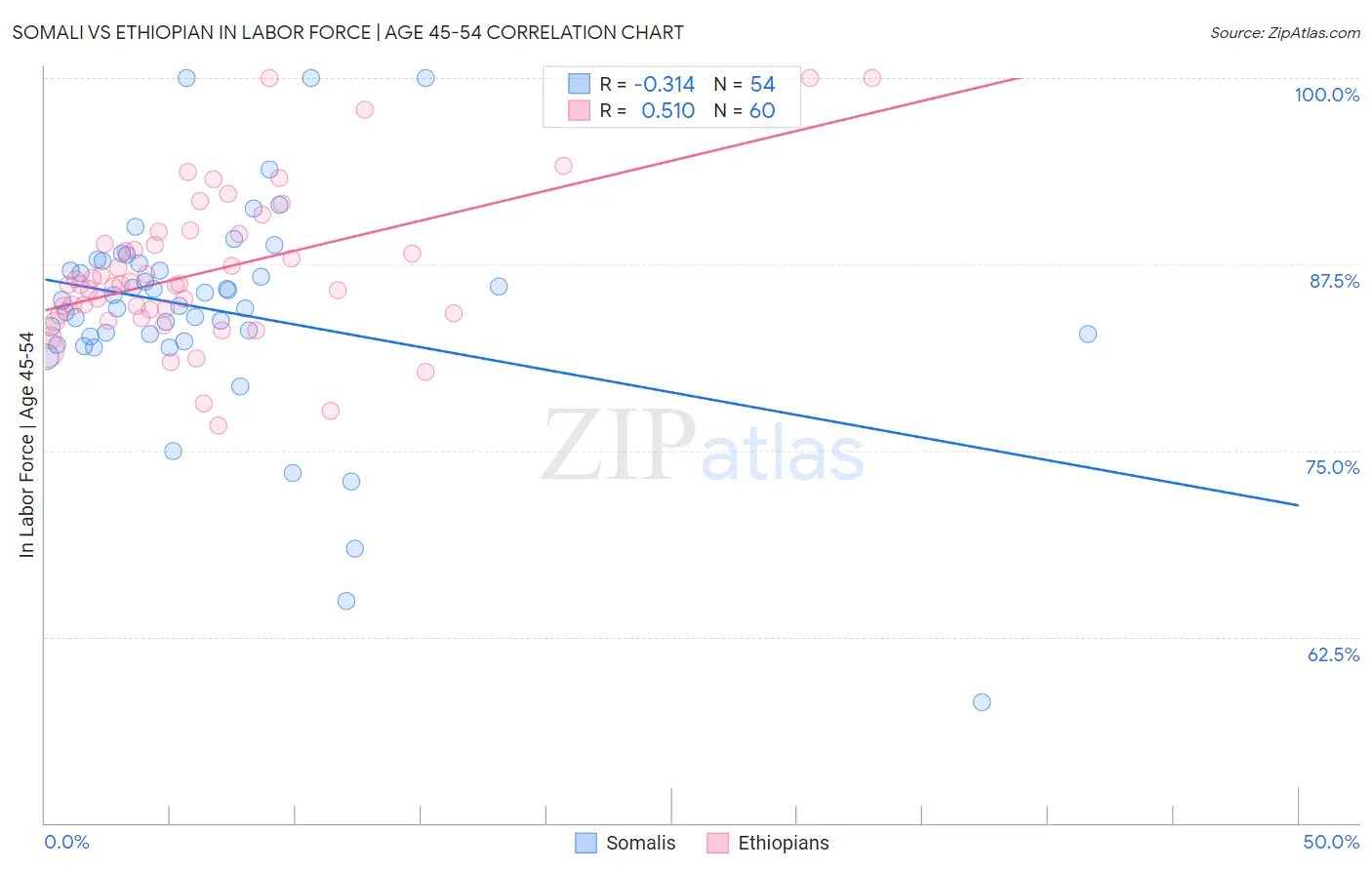 Somali vs Ethiopian In Labor Force | Age 45-54