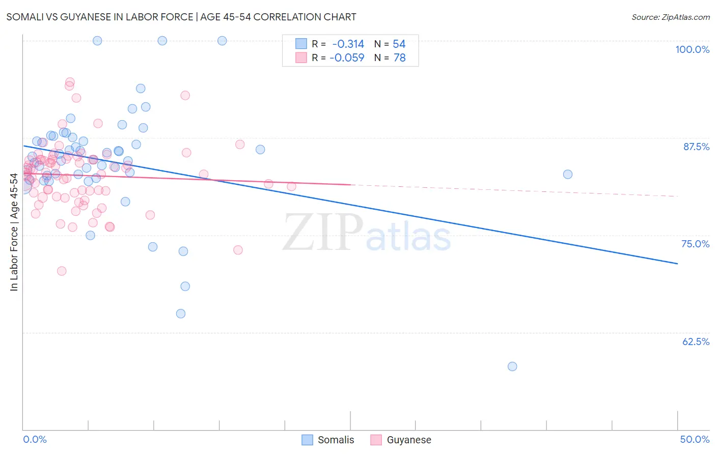 Somali vs Guyanese In Labor Force | Age 45-54