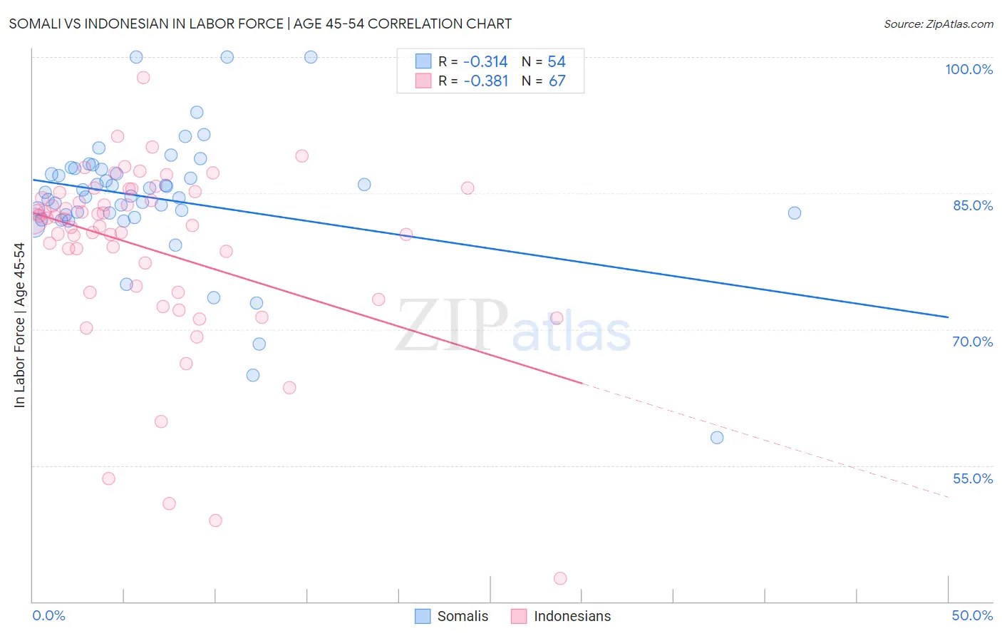 Somali vs Indonesian In Labor Force | Age 45-54