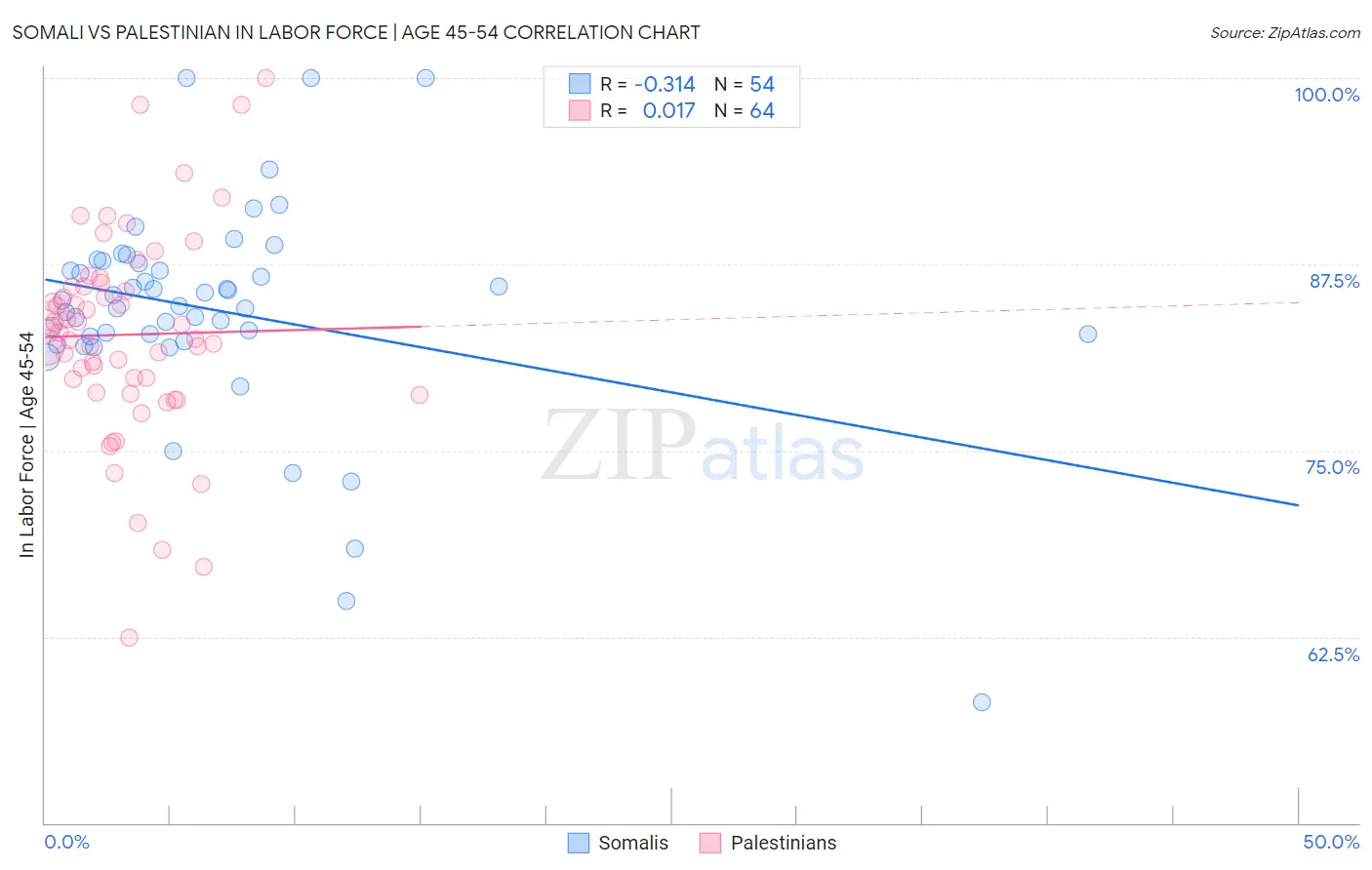 Somali vs Palestinian In Labor Force | Age 45-54