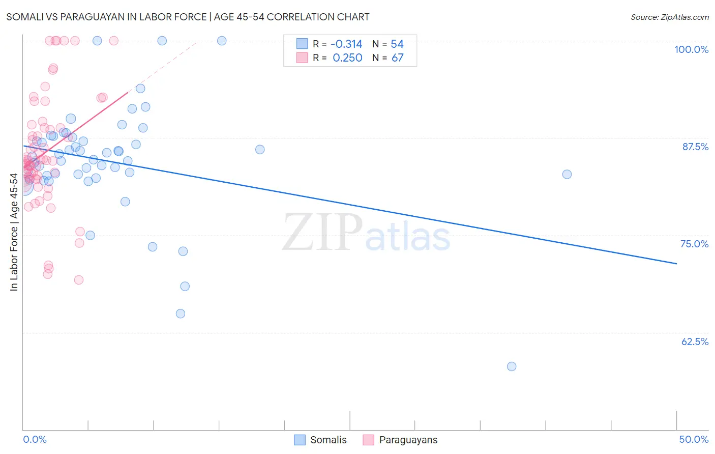 Somali vs Paraguayan In Labor Force | Age 45-54