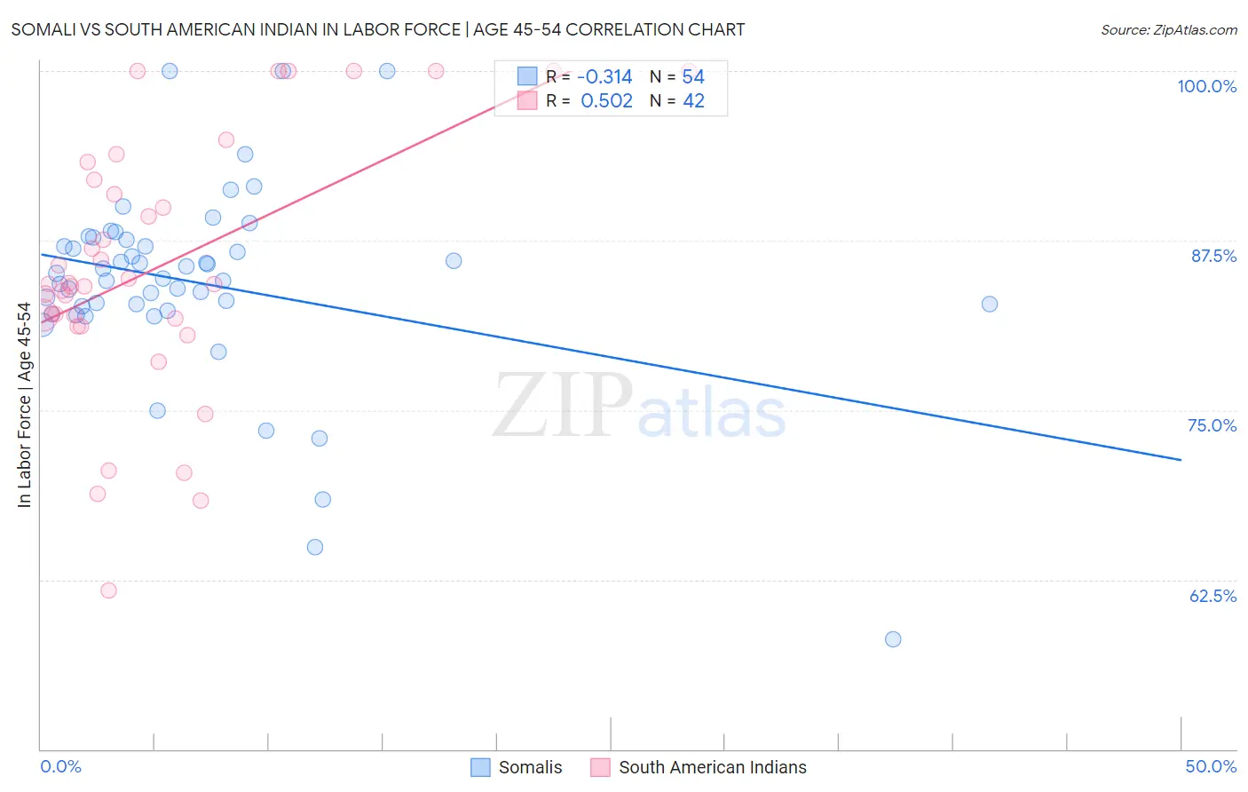 Somali vs South American Indian In Labor Force | Age 45-54