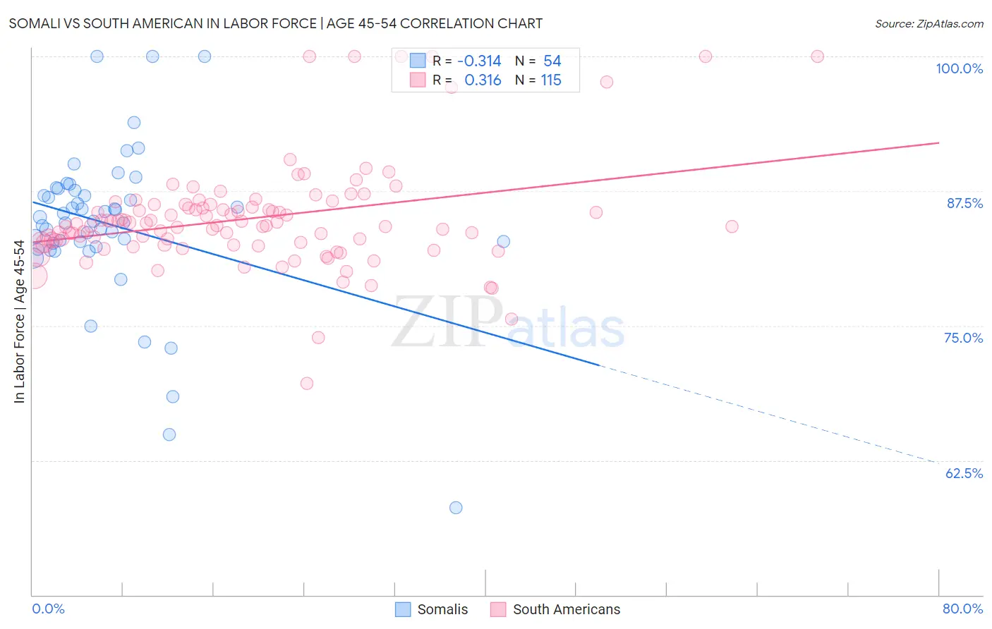 Somali vs South American In Labor Force | Age 45-54