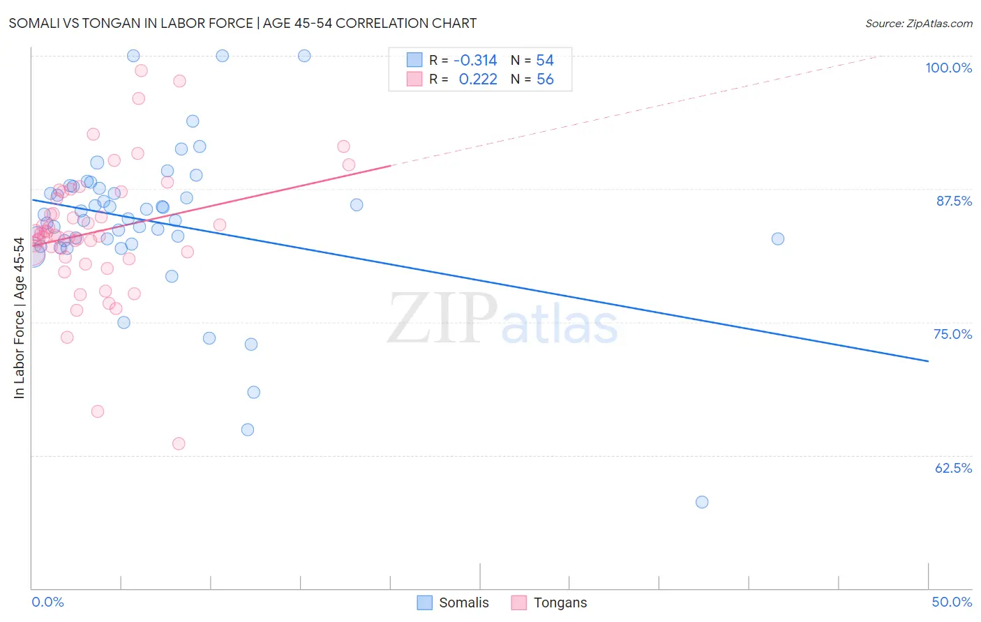 Somali vs Tongan In Labor Force | Age 45-54