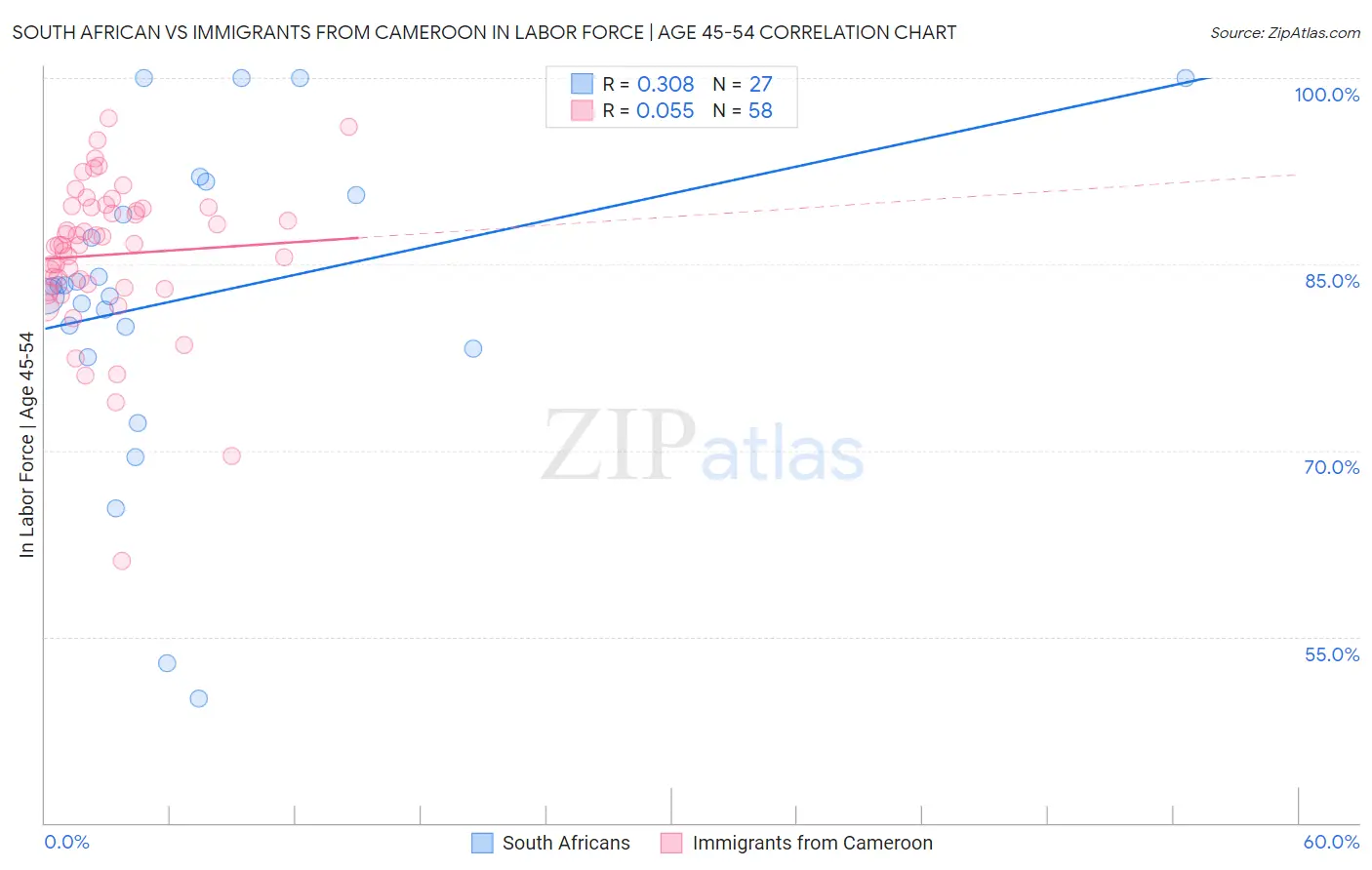 South African vs Immigrants from Cameroon In Labor Force | Age 45-54