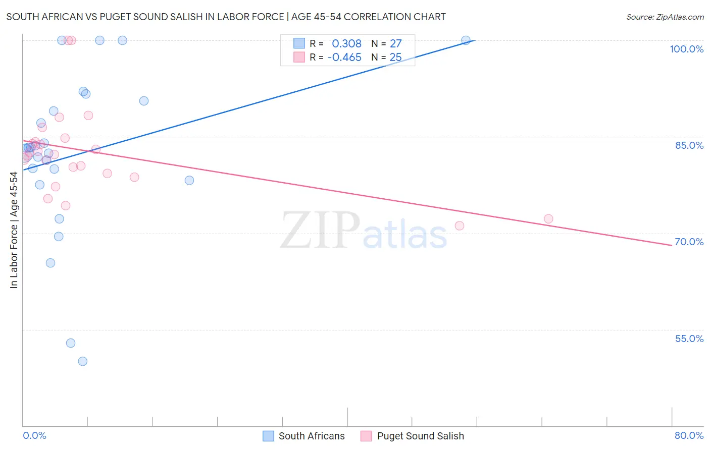 South African vs Puget Sound Salish In Labor Force | Age 45-54