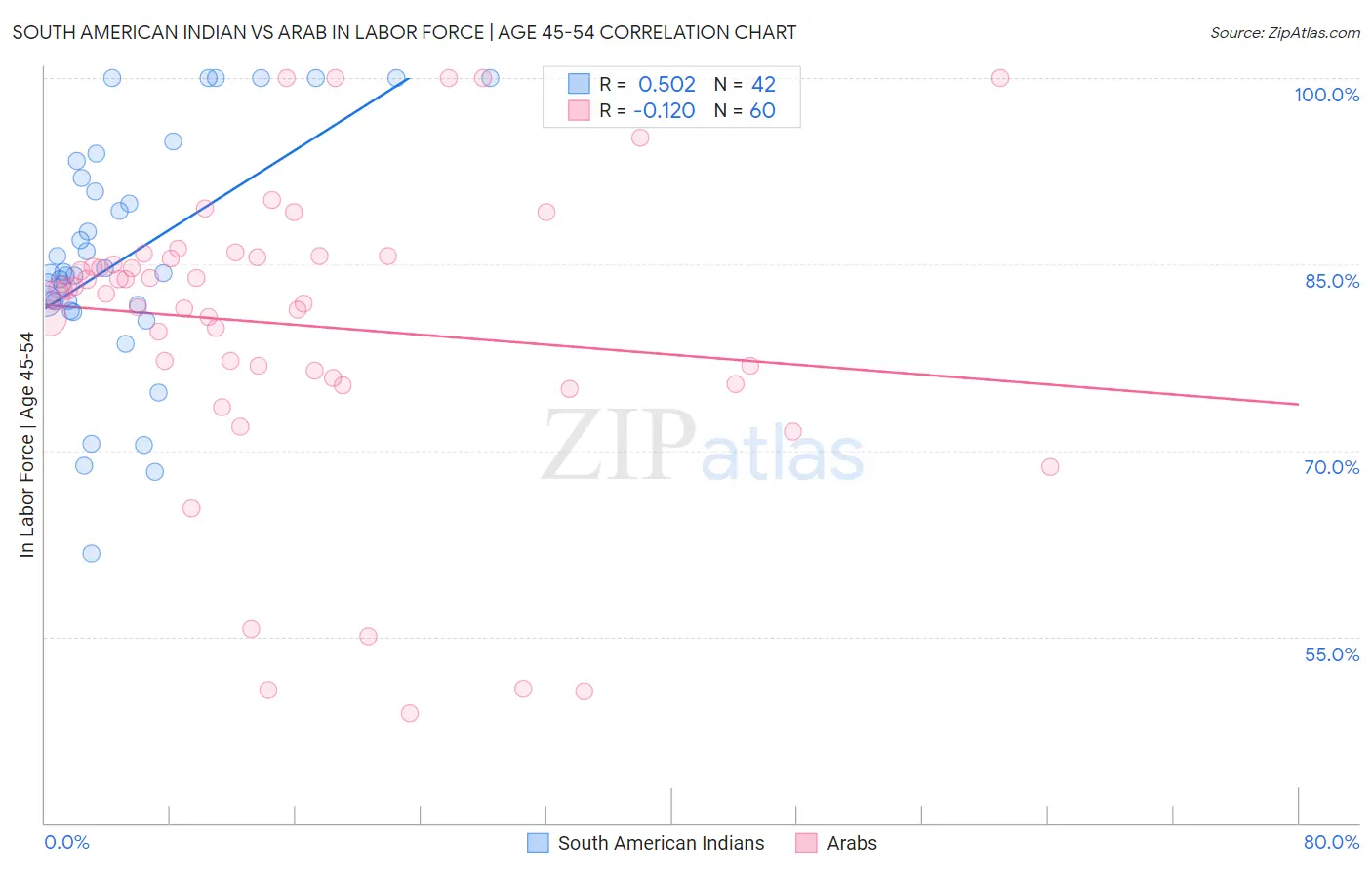 South American Indian vs Arab In Labor Force | Age 45-54