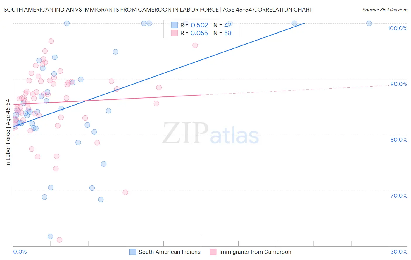 South American Indian vs Immigrants from Cameroon In Labor Force | Age 45-54