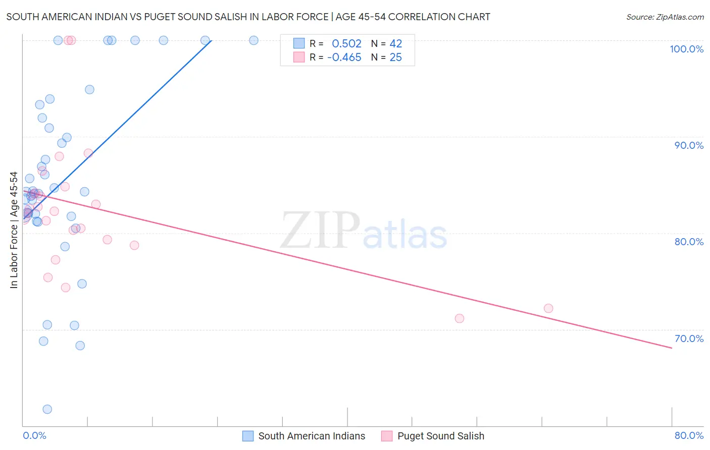 South American Indian vs Puget Sound Salish In Labor Force | Age 45-54