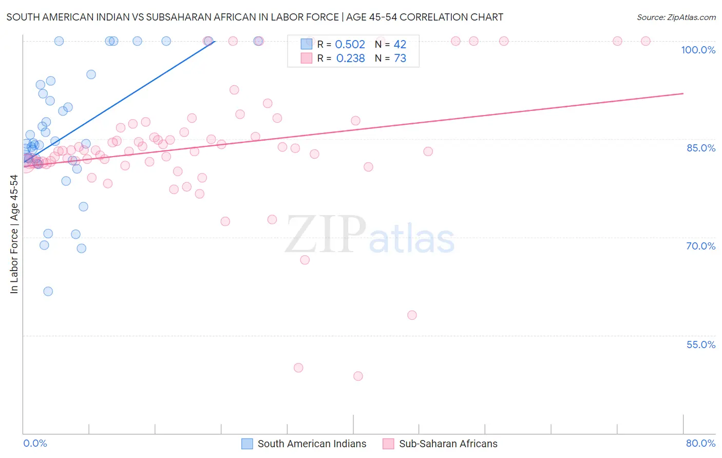 South American Indian vs Subsaharan African In Labor Force | Age 45-54