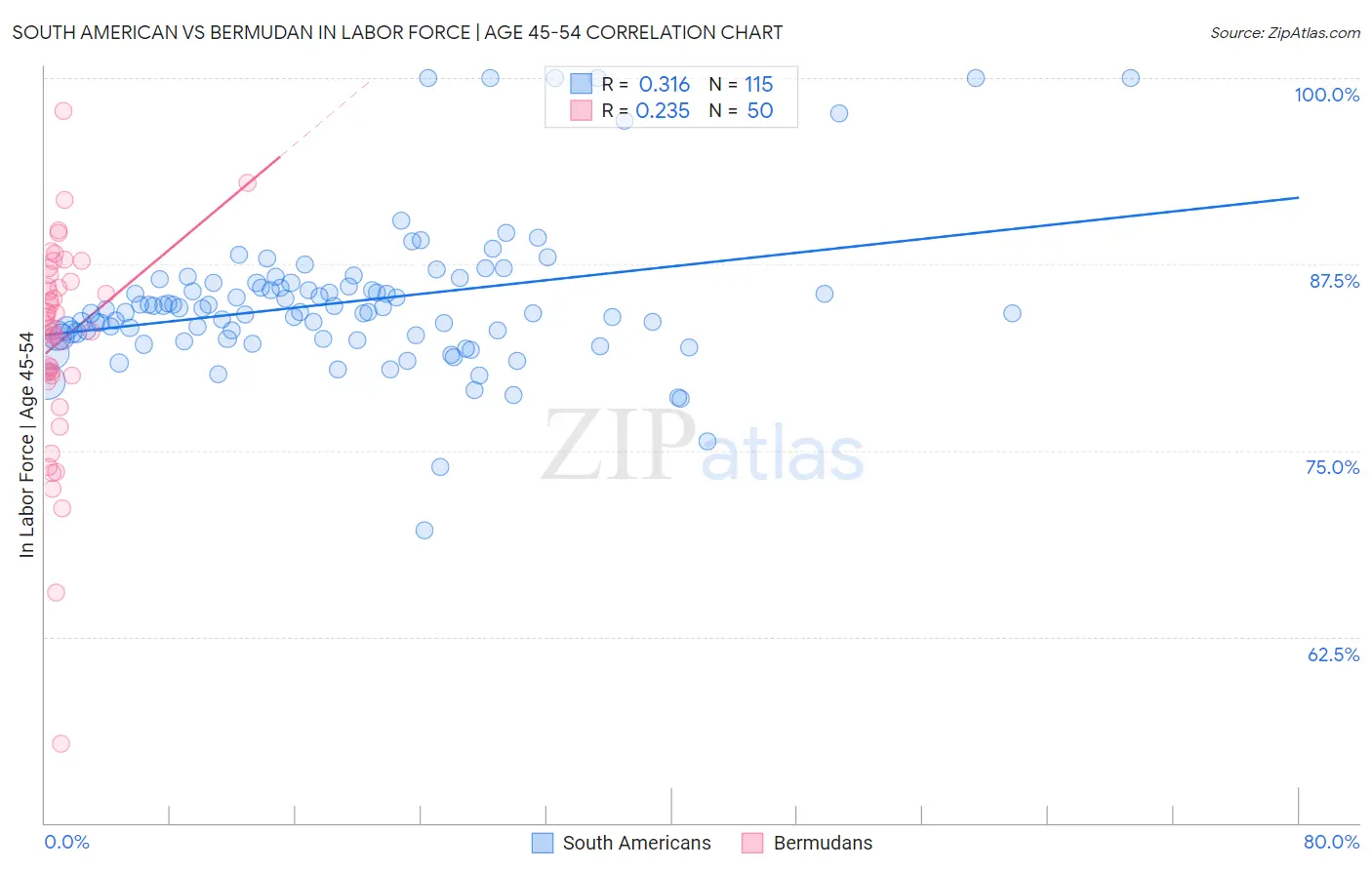 South American vs Bermudan In Labor Force | Age 45-54