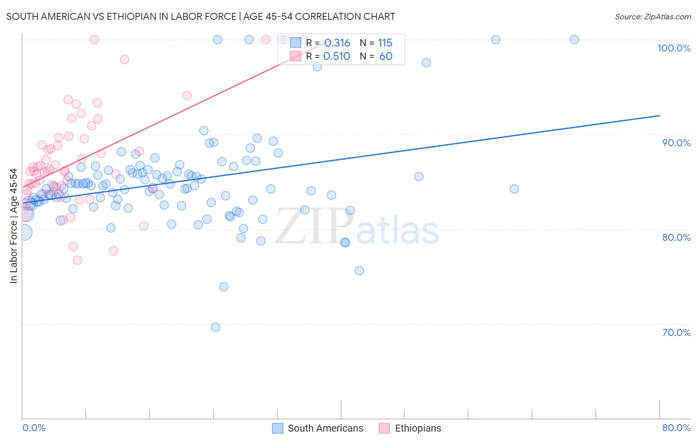 South American vs Ethiopian In Labor Force | Age 45-54