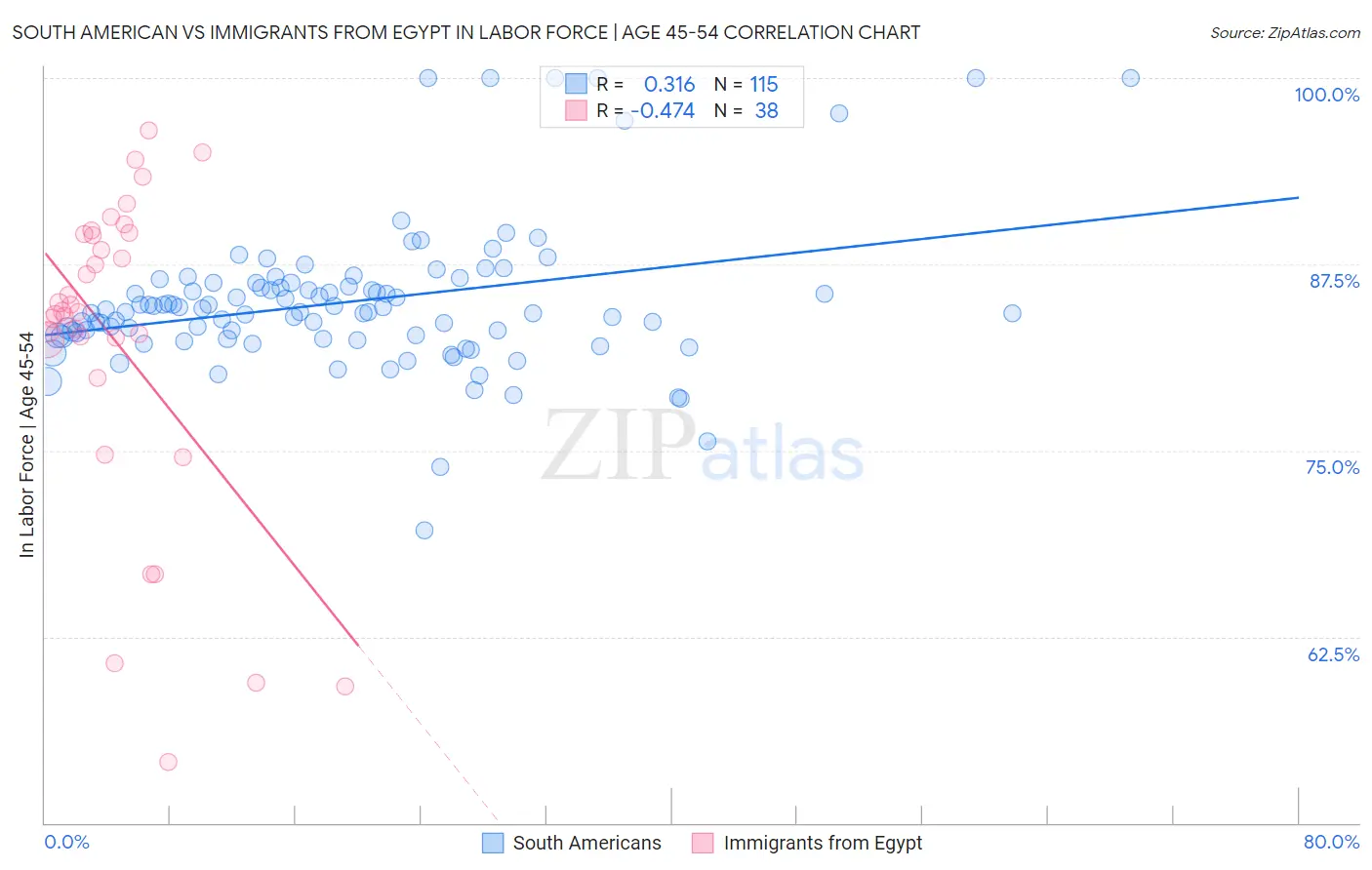 South American vs Immigrants from Egypt In Labor Force | Age 45-54