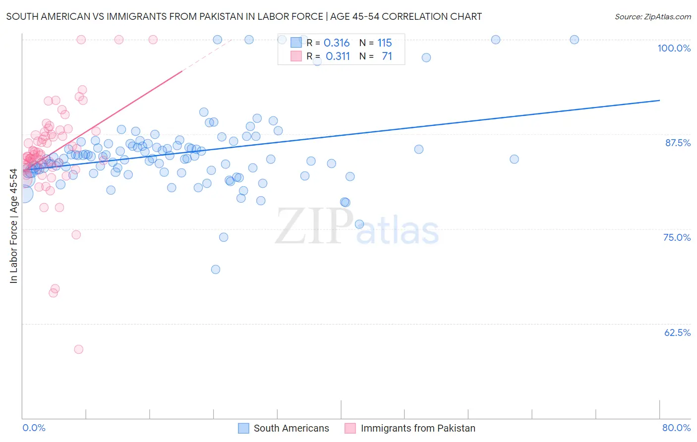 South American vs Immigrants from Pakistan In Labor Force | Age 45-54