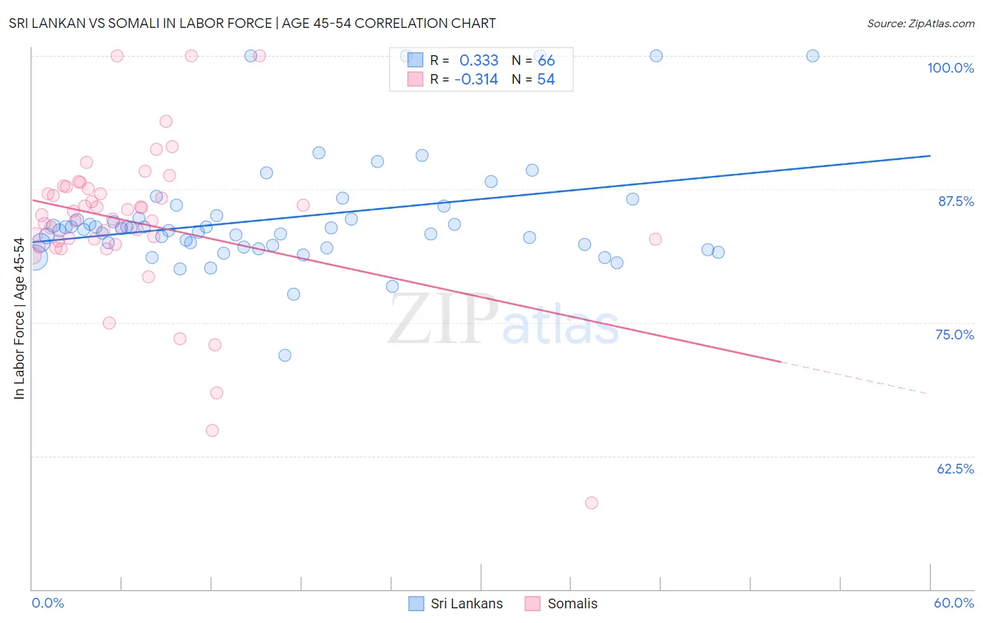 Sri Lankan vs Somali In Labor Force | Age 45-54