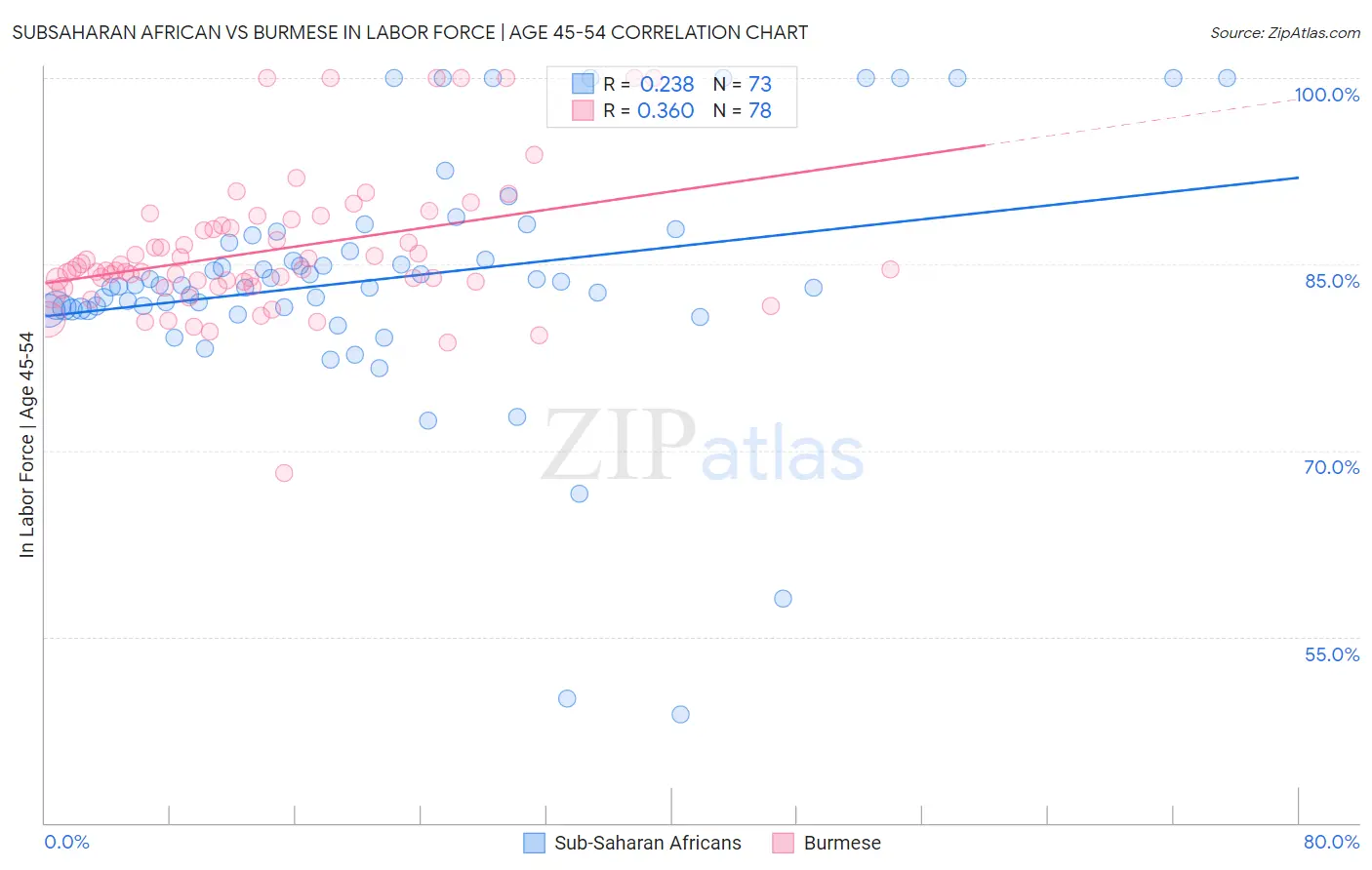 Subsaharan African vs Burmese In Labor Force | Age 45-54