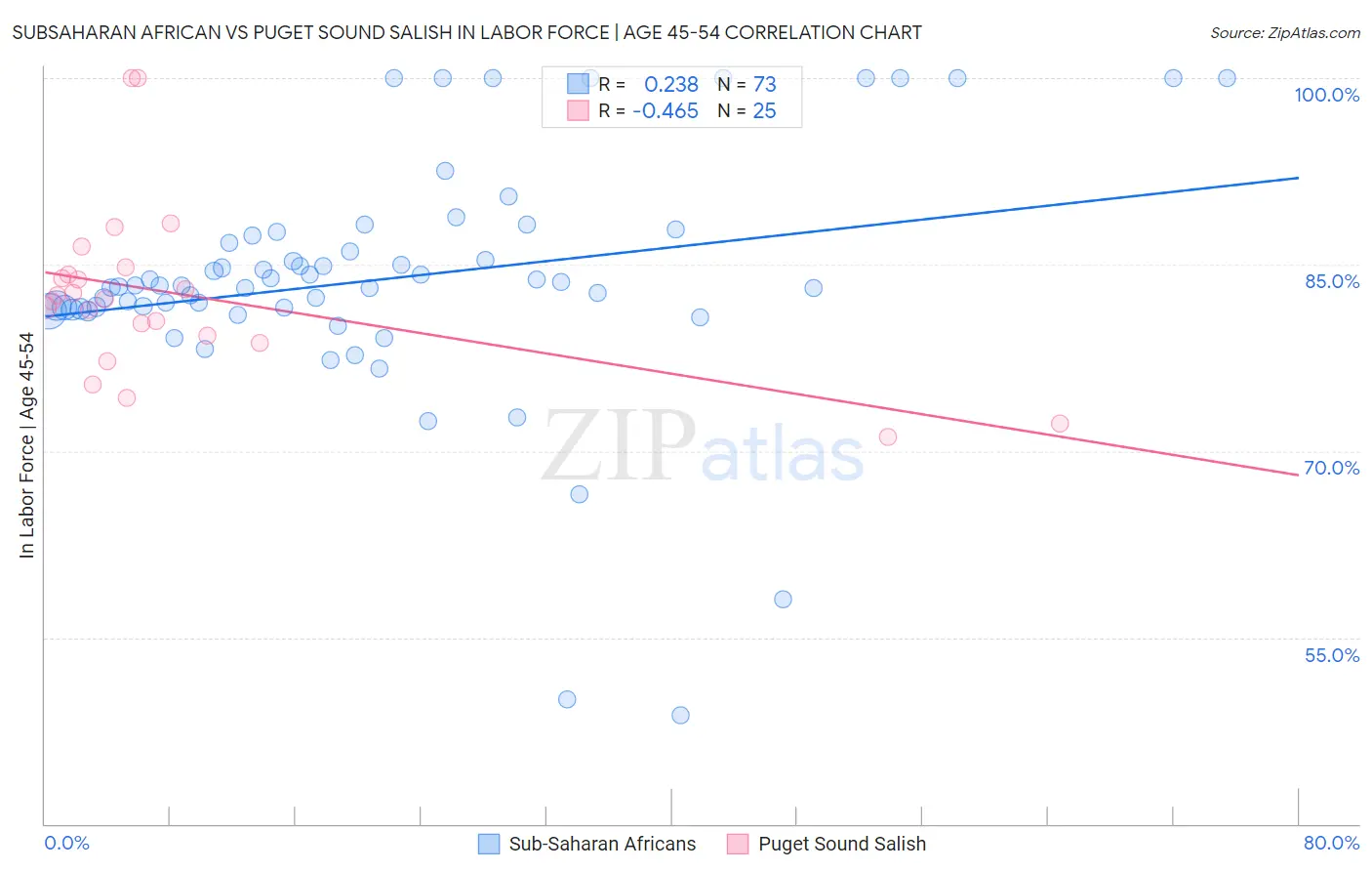 Subsaharan African vs Puget Sound Salish In Labor Force | Age 45-54