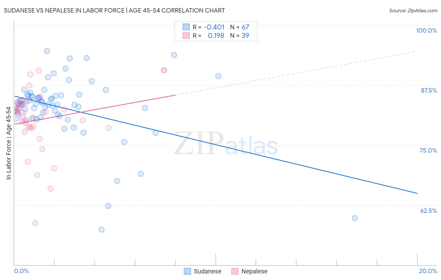 Sudanese vs Nepalese In Labor Force | Age 45-54