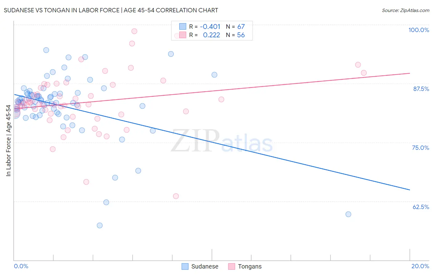 Sudanese vs Tongan In Labor Force | Age 45-54