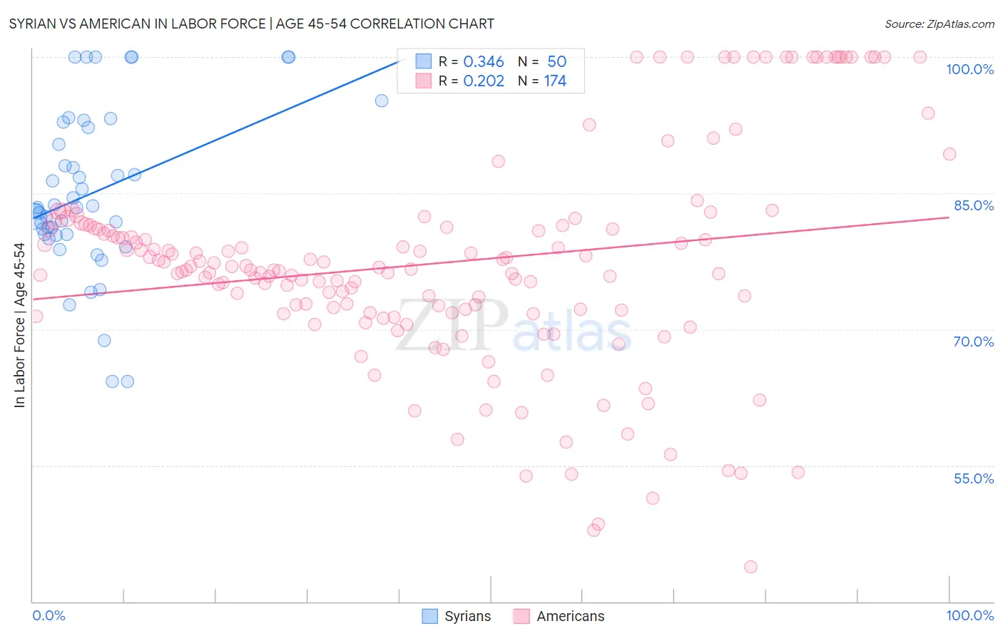 Syrian vs American In Labor Force | Age 45-54