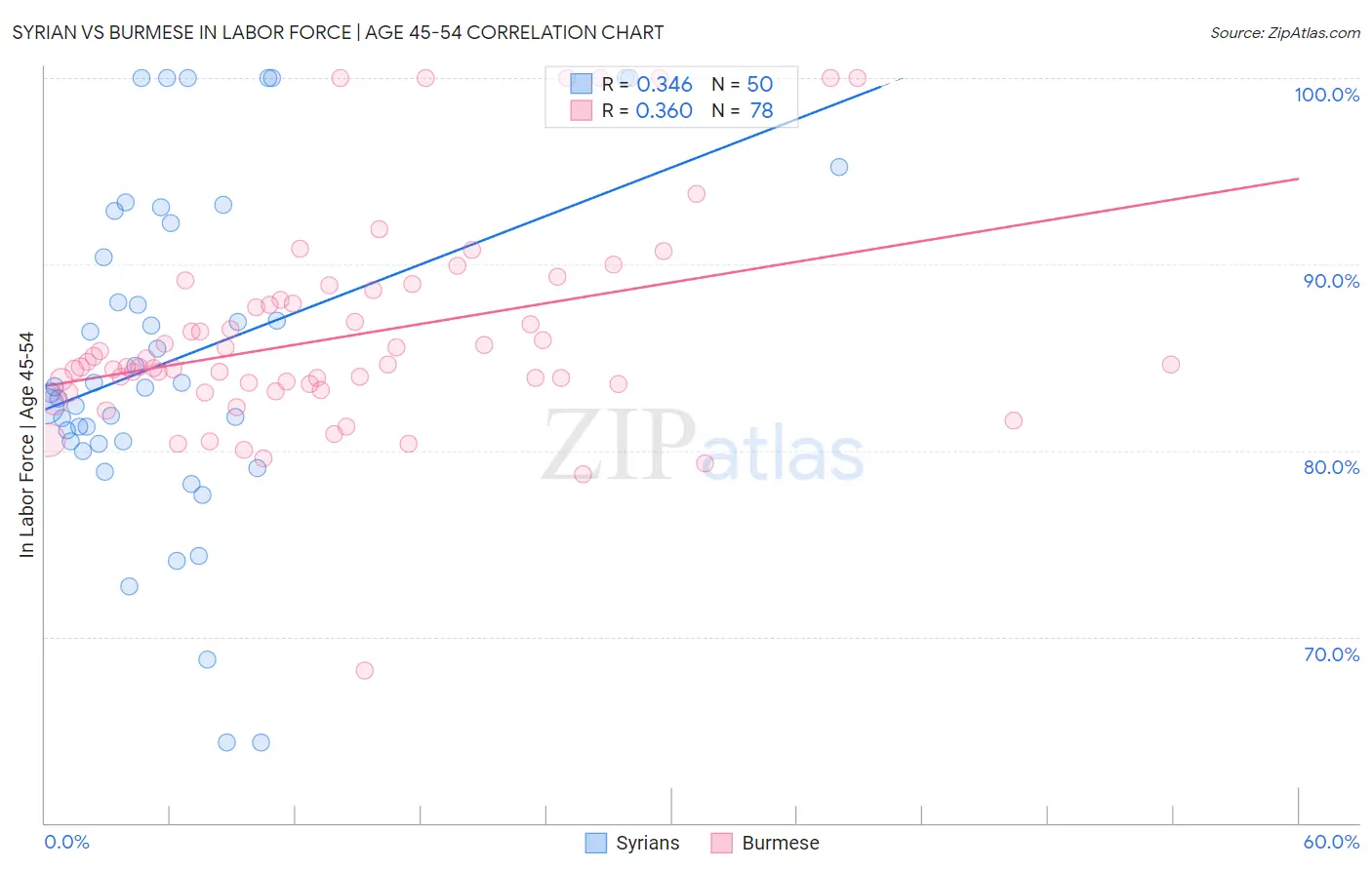 Syrian vs Burmese In Labor Force | Age 45-54