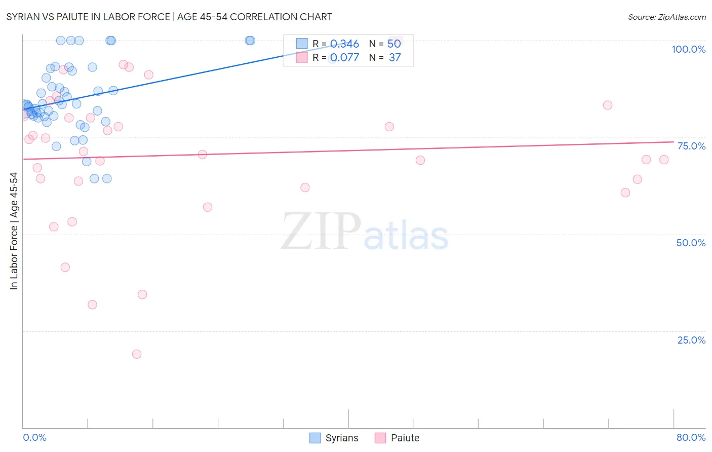 Syrian vs Paiute In Labor Force | Age 45-54