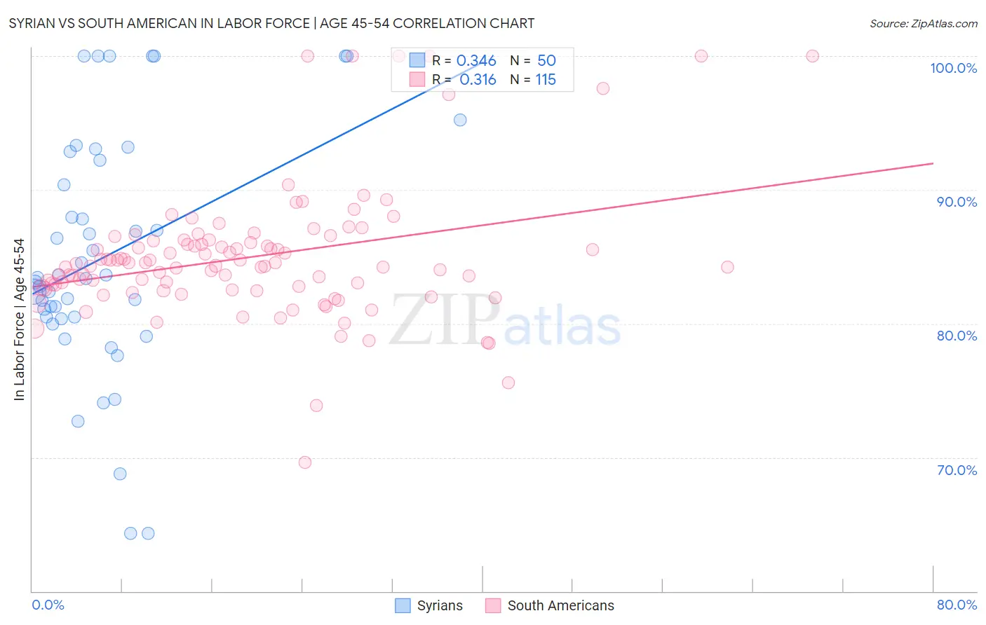 Syrian vs South American In Labor Force | Age 45-54
