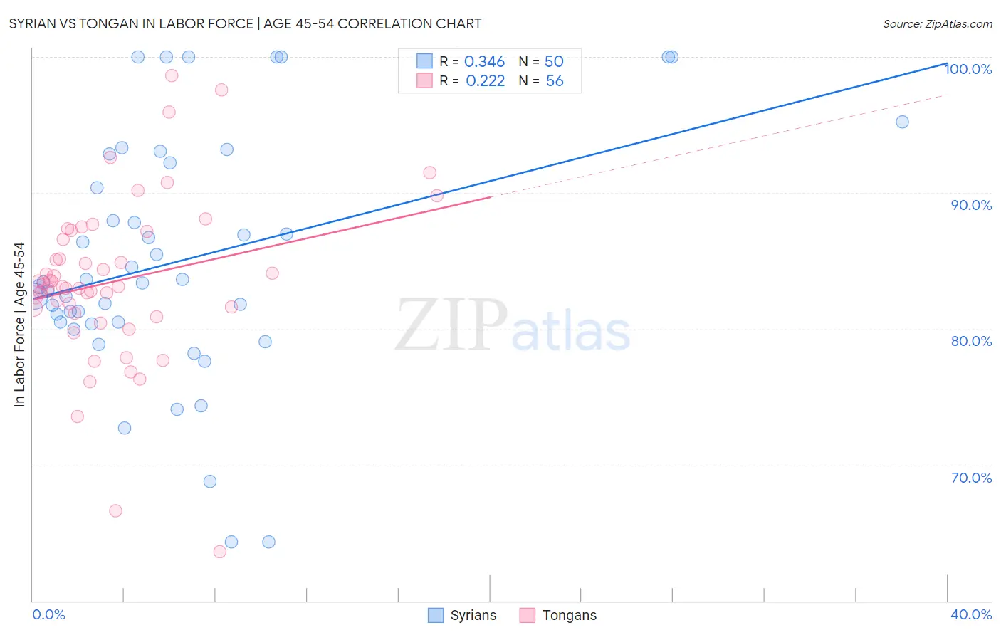 Syrian vs Tongan In Labor Force | Age 45-54
