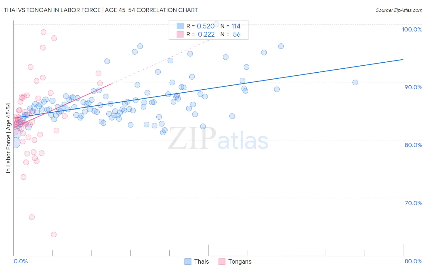 Thai vs Tongan In Labor Force | Age 45-54