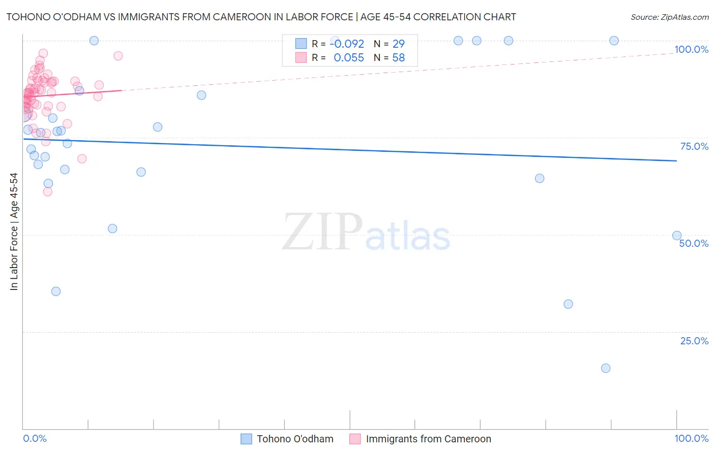 Tohono O'odham vs Immigrants from Cameroon In Labor Force | Age 45-54