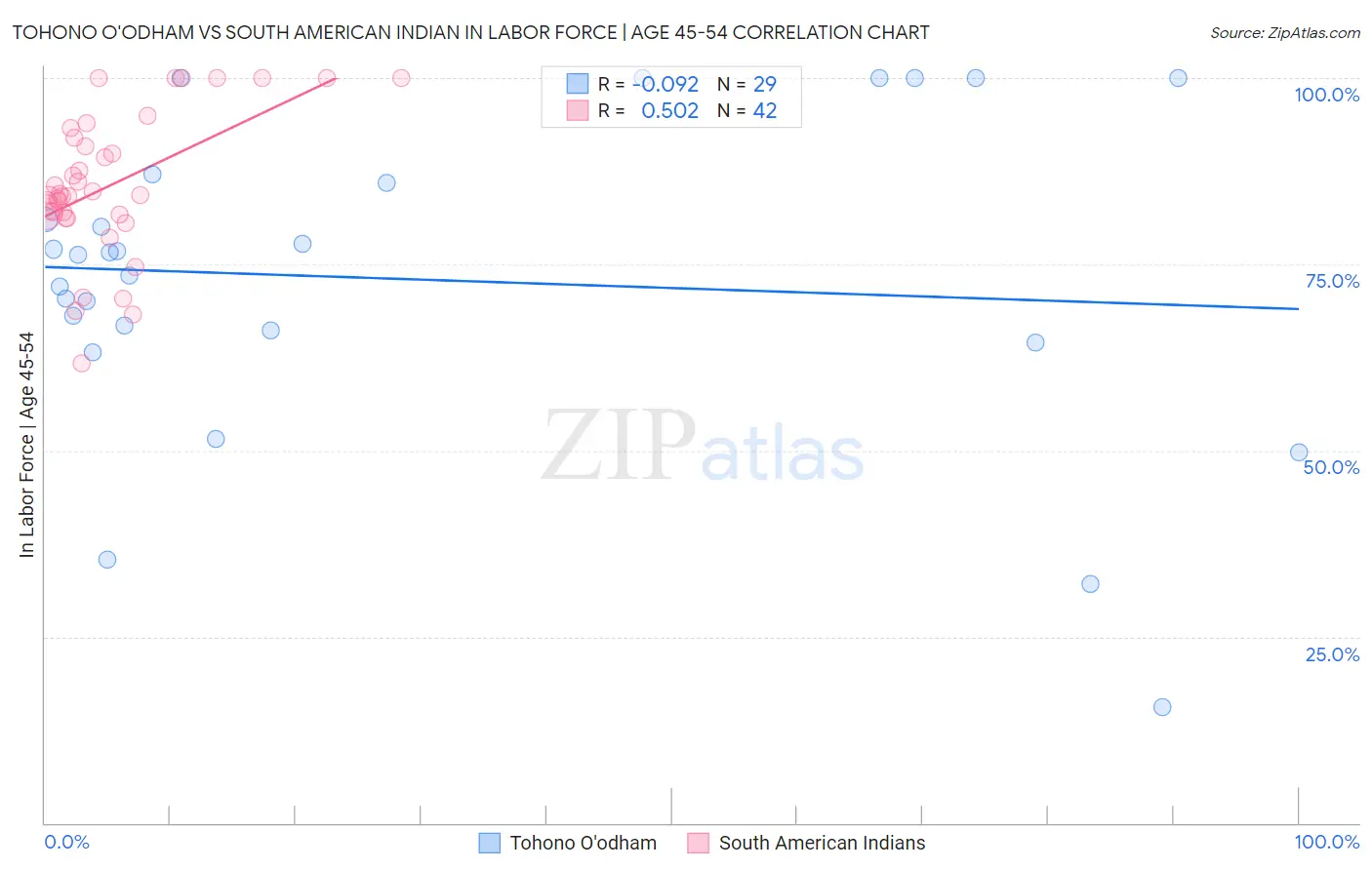 Tohono O'odham vs South American Indian In Labor Force | Age 45-54