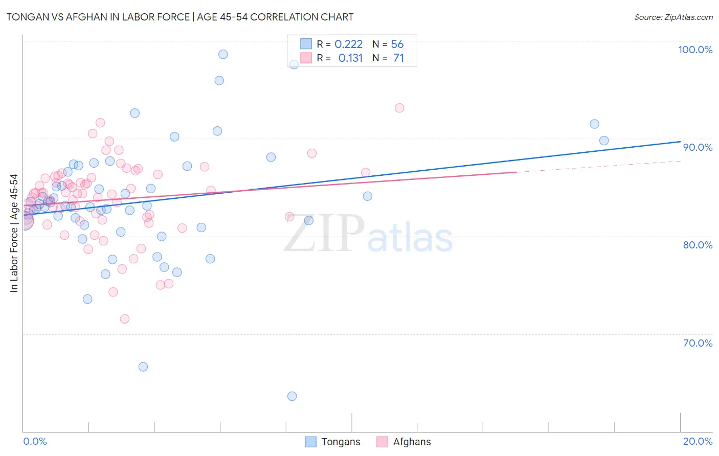 Tongan vs Afghan In Labor Force | Age 45-54
