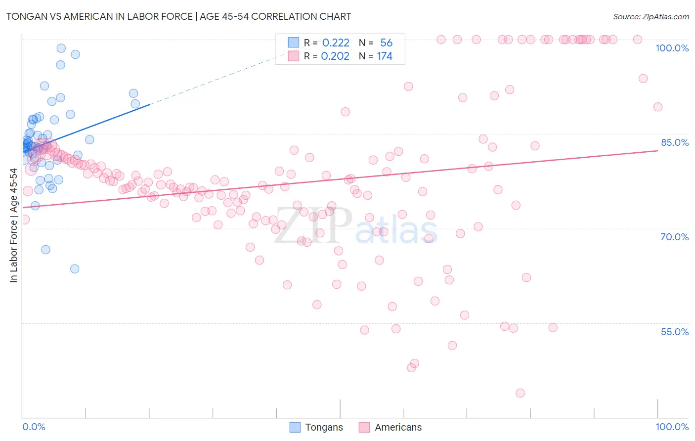 Tongan vs American In Labor Force | Age 45-54