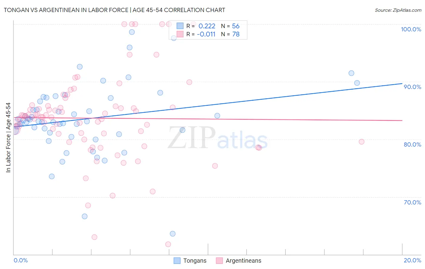 Tongan vs Argentinean In Labor Force | Age 45-54
