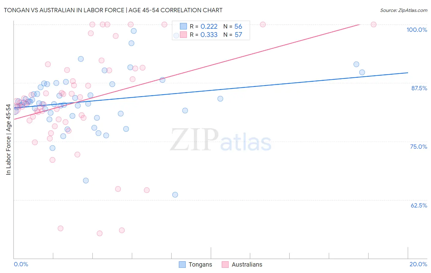 Tongan vs Australian In Labor Force | Age 45-54